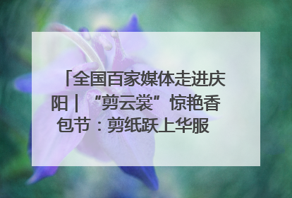 全国百家媒体走进庆阳｜“剪云裳”惊艳香包节：剪纸跃上华服 非遗焕发新彩